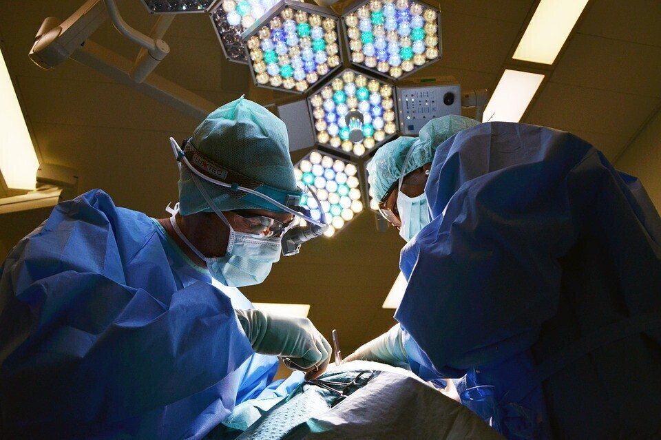 Italy Ranks Second Among Large EU States for Organ Donation Rate