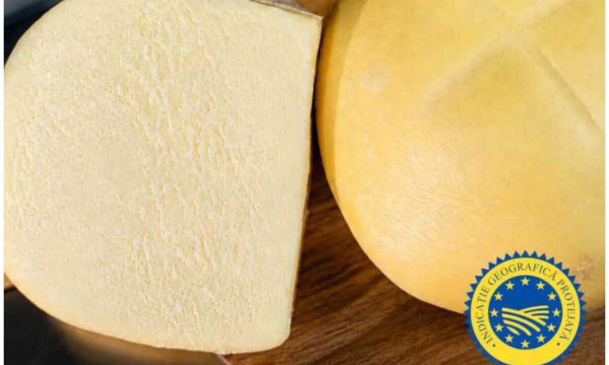 EU Grants Protected Geographical Indication to Romania's Brânza frământată de Teaca