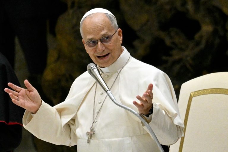 Papst Leo XIV. ruft katholische Schulen zur Förderung junger Menschen auf