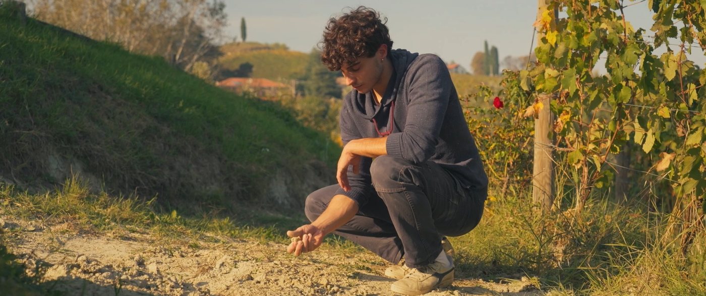Piemonte Wine Documentary 'Low Lies the Land' Premieres at Toronto Film Festival