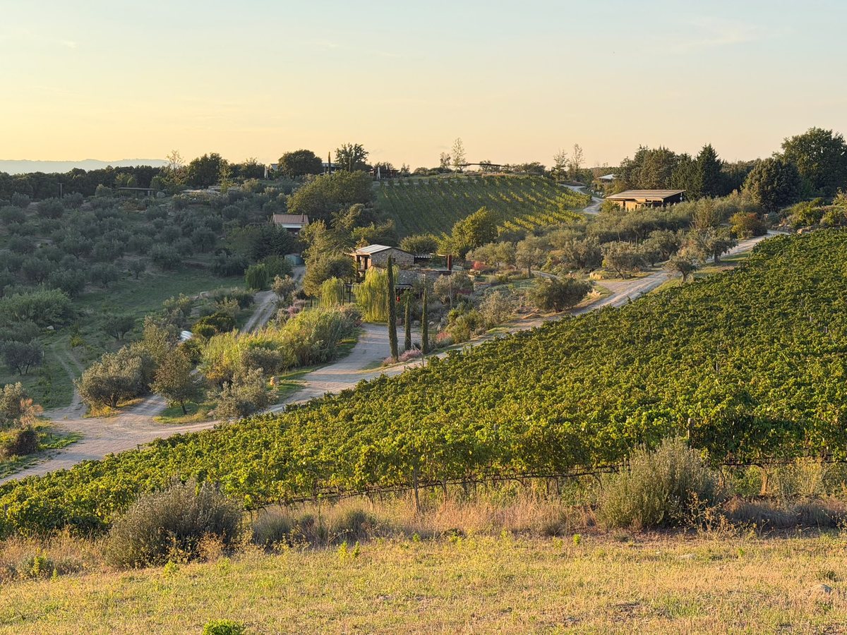 Sequerciani, das biodynamische Modell in der Maremma