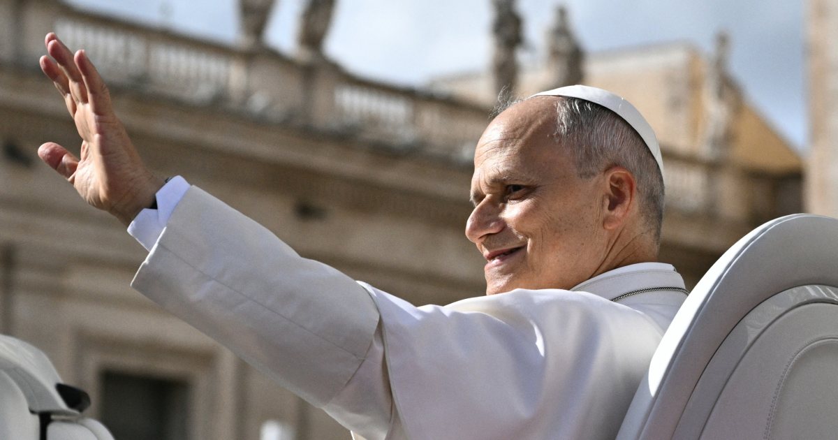 Pope Leo resumes official duties following rapid recovery at the Vatican