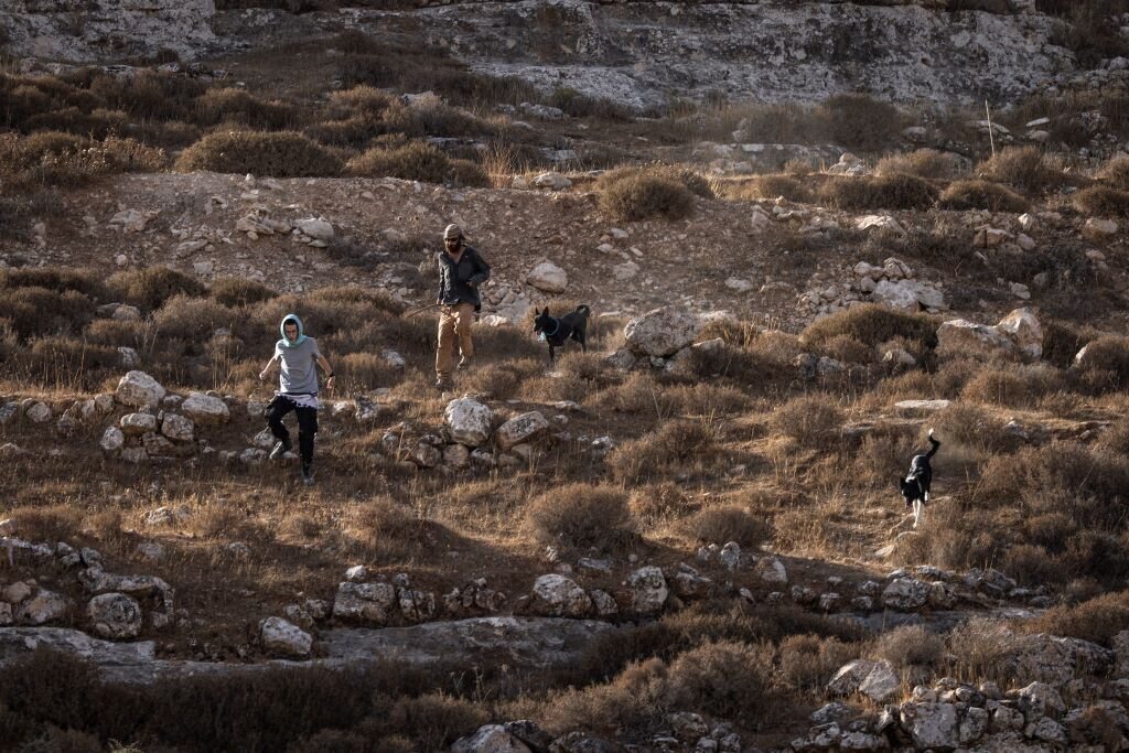 Israeli Settlers Attack European Diplomats During West Bank Olive Harvest